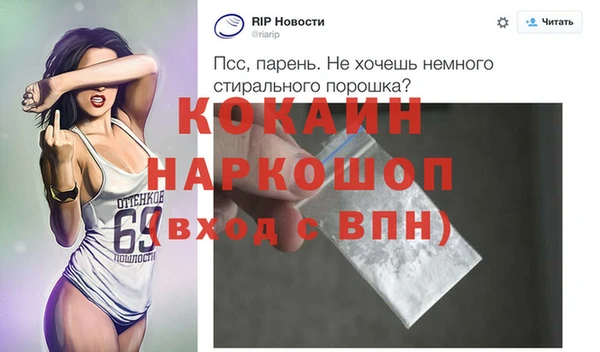 молекула духа Няндома