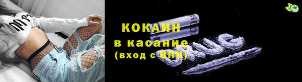 молекула духа Няндома