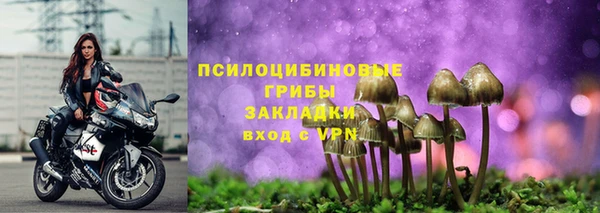 мяу мяу мука Зеленокумск